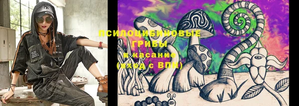 эйфоретик Абаза